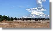 1-Turkana_092.jpg