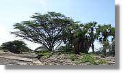 1-Turkana_094.jpg