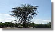 1-Turkana_095.jpg
