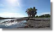 1-Turkana_101.jpg