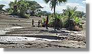 1-Turkana_105.jpg