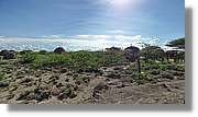 1-Turkana_107.jpg