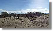 1-Turkana_108.jpg