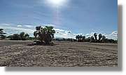 1-Turkana_110.jpg