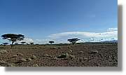 1-Turkana_115.jpg