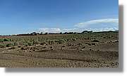 1-Turkana_117.jpg