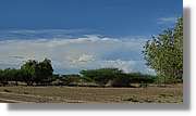 1-Turkana_119.jpg