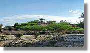 1-Turkana_120.jpg