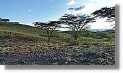 1-Turkana_128.jpg