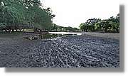 1-Turkana_131.jpg