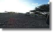 1-Turkana_134.jpg