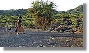 1-Turkana_140.jpg