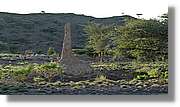 1-Turkana_143.jpg