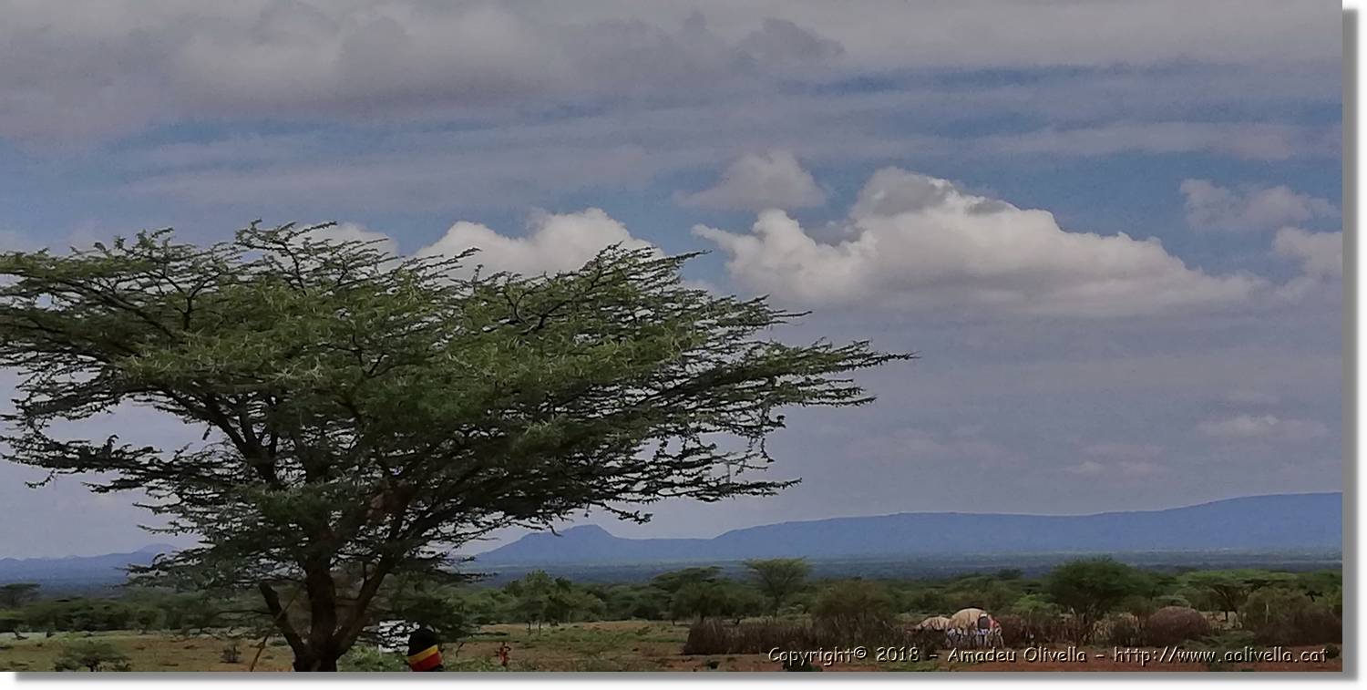 2-Turkana_164.jpg