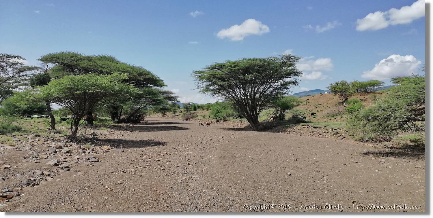 2-Turkana_165.jpg