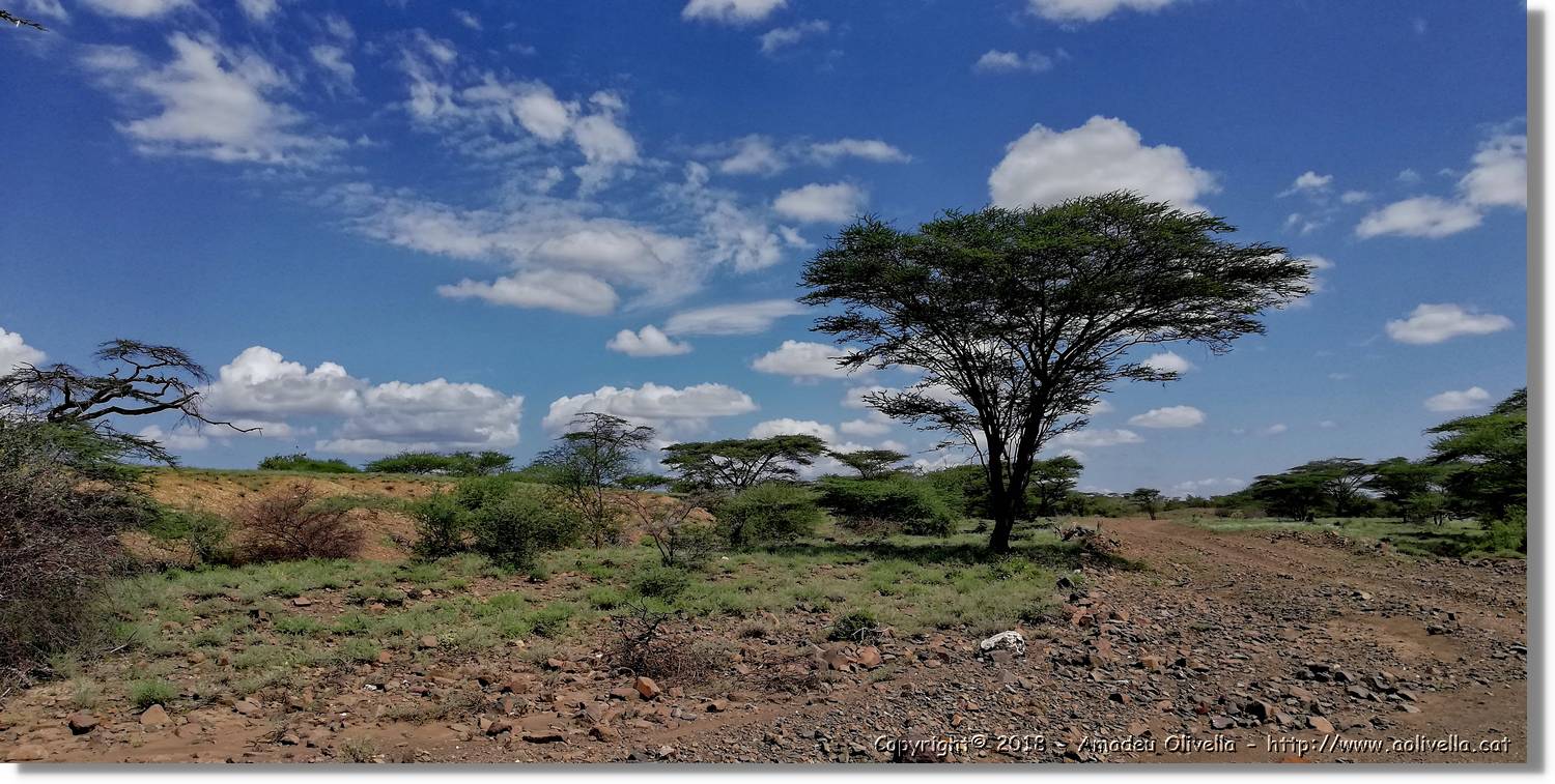 2-Turkana_166.jpg
