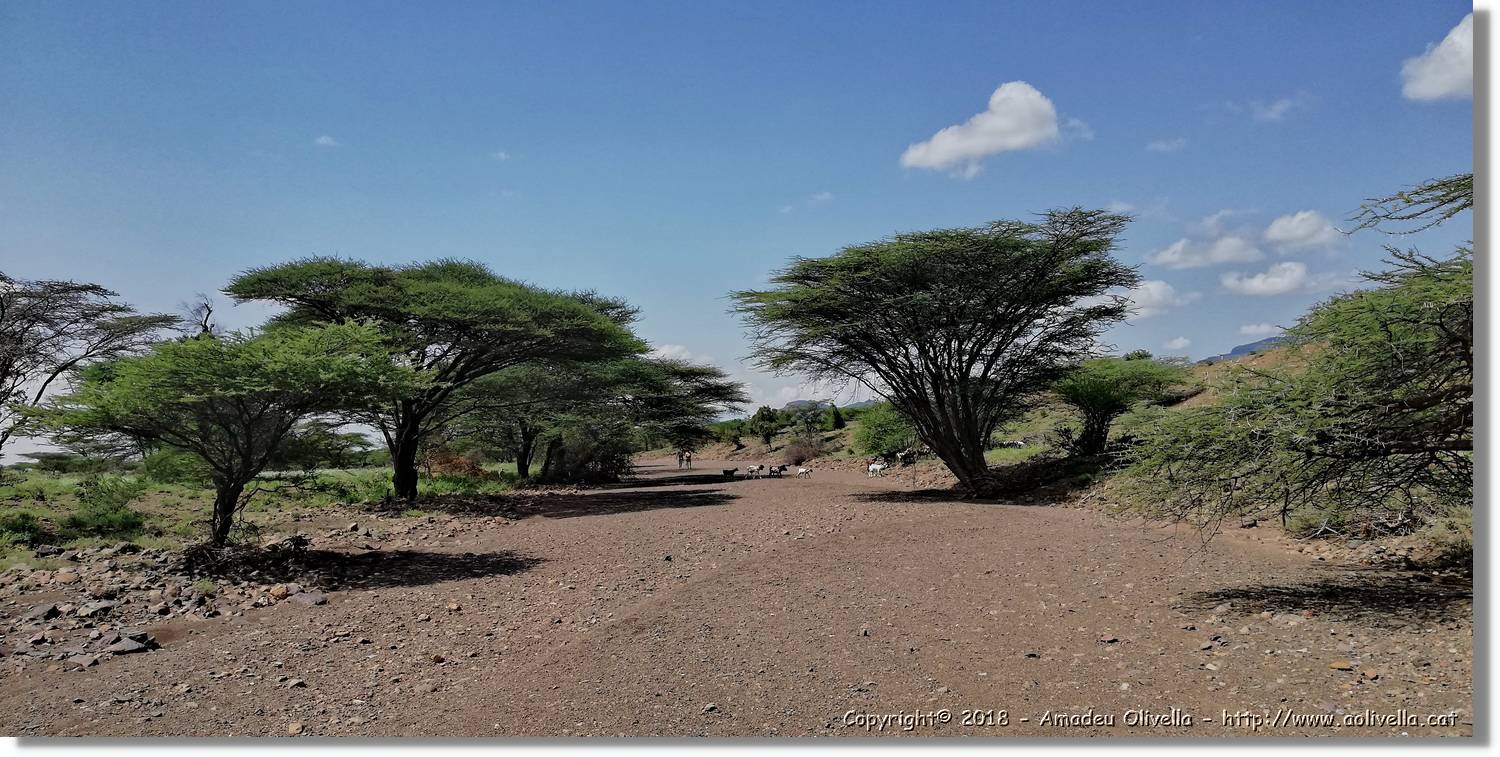 2-Turkana_167.jpg