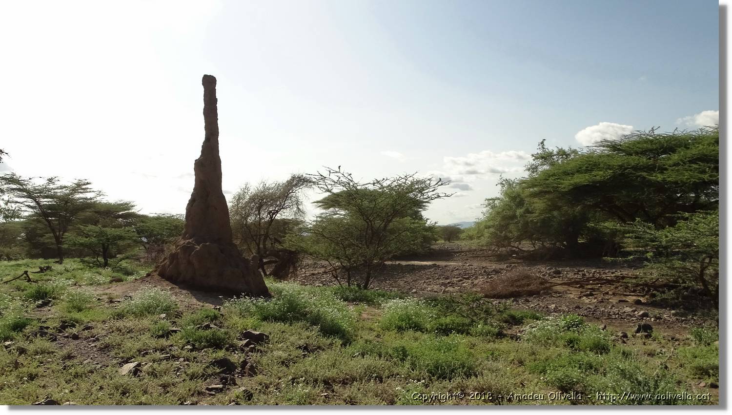 2-Turkana_180.jpg