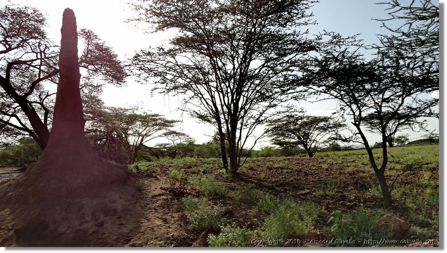 2-Turkana_181.jpg