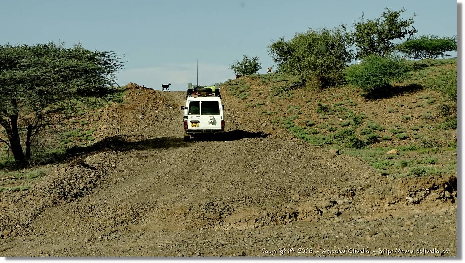 2-Turkana_183.jpg