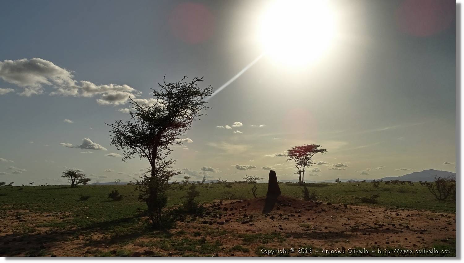 2-Turkana_197.jpg