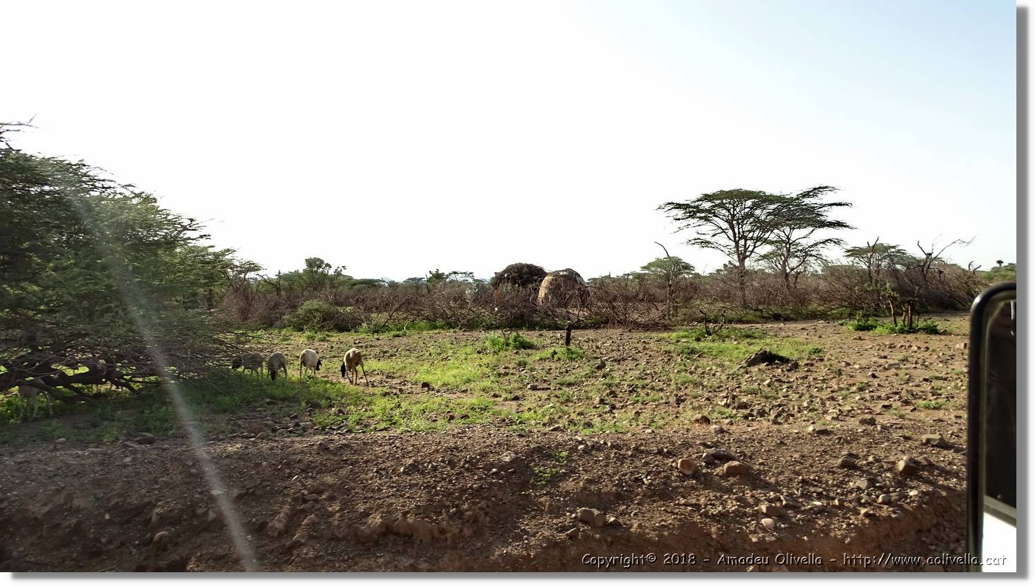 2-Turkana_198.jpg