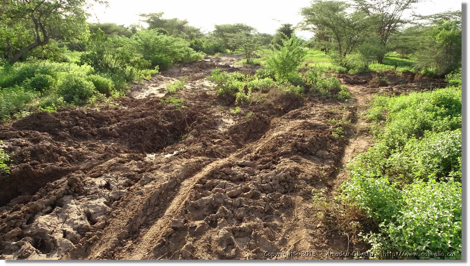 2-Turkana_200.jpg