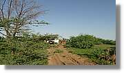 2-Turkana_201.jpg