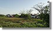 2-Turkana_204.jpg