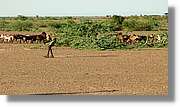 2-Turkana_212.jpg