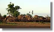 2-Turkana_248.jpg