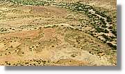 2-Turkana_303.jpg
