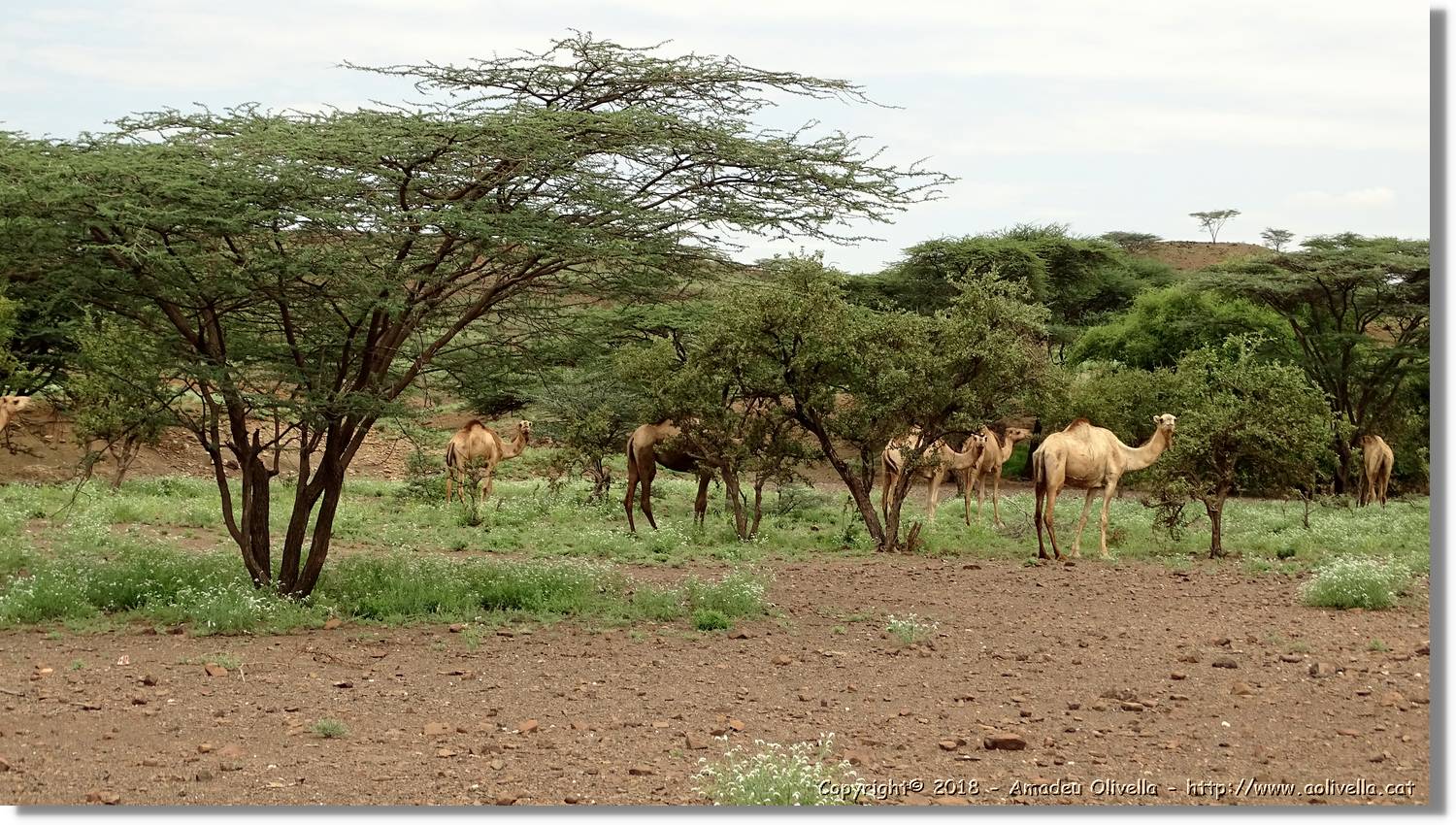3-Turkana_012.jpg