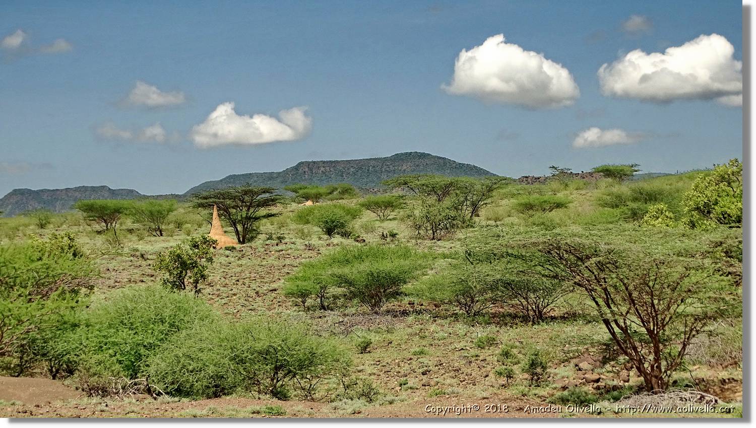 3-Turkana_014.jpg
