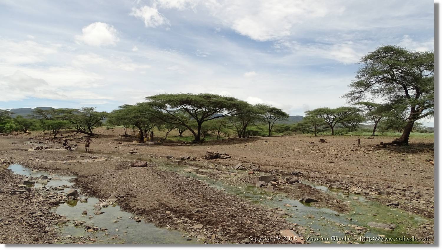 3-Turkana_044.jpg