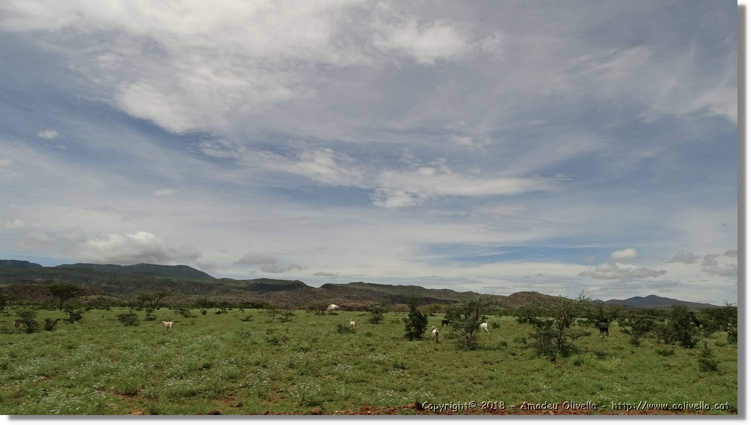 3-Turkana_048.jpg