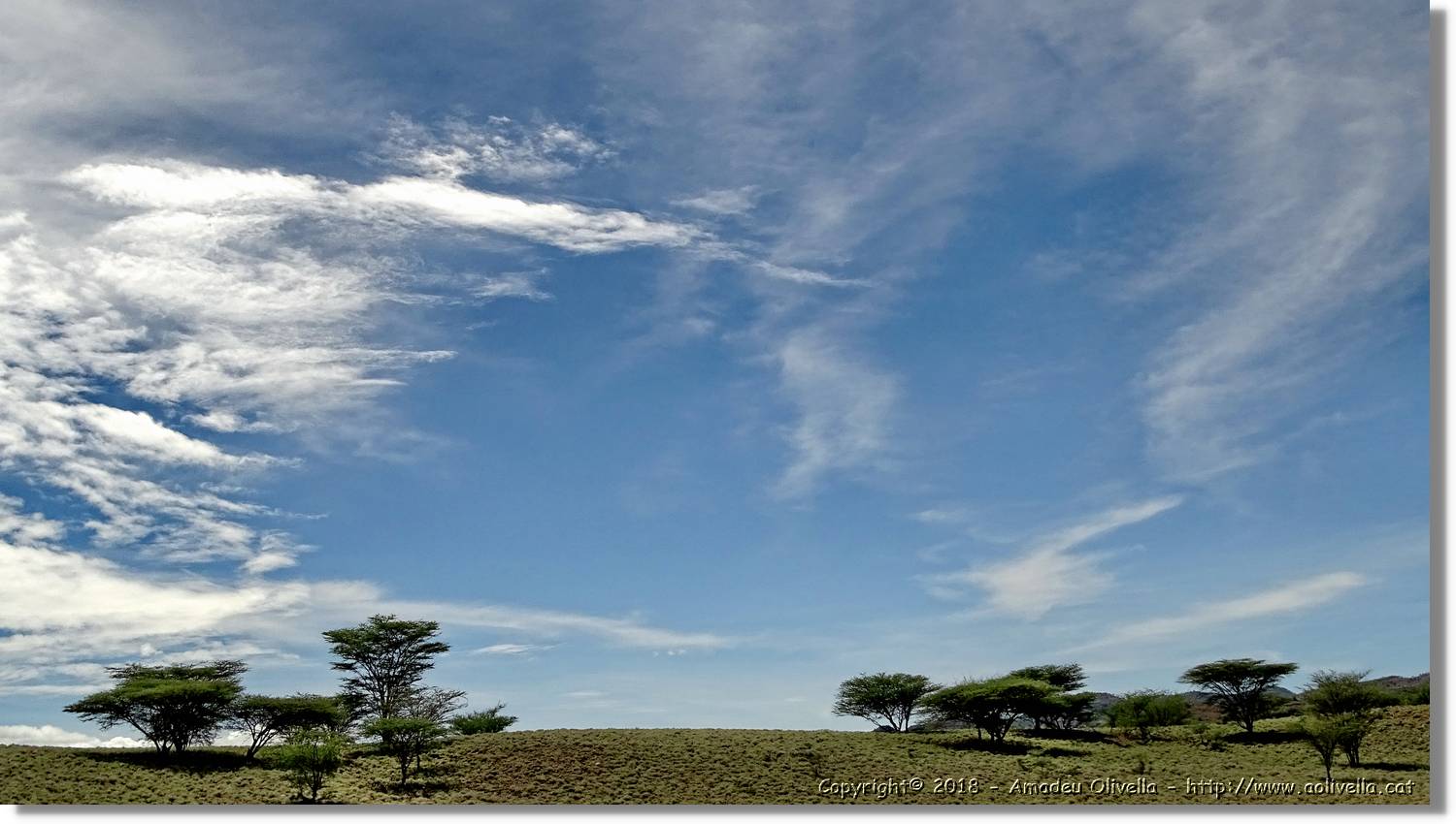 3-Turkana_081.jpg