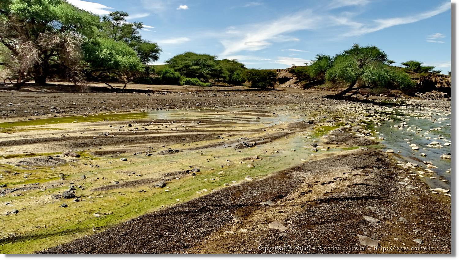 3-Turkana_085.jpg