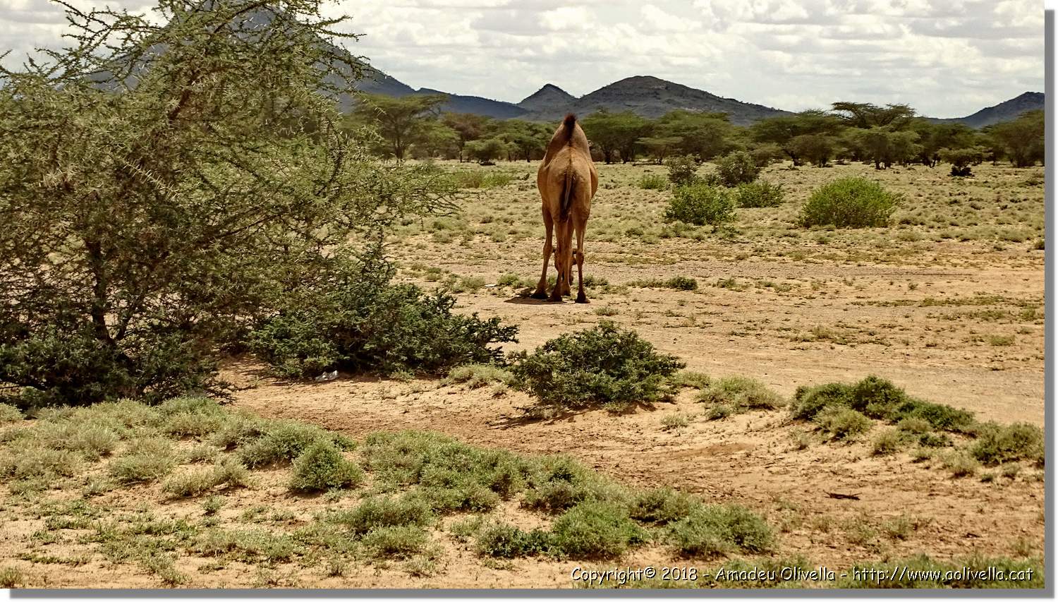 3-Turkana_179.jpg