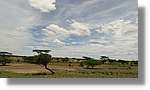 3-Turkana_035.jpg