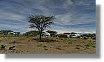 3-Turkana_056.jpg