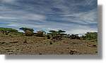 3-Turkana_057.jpg