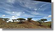 3-Turkana_061.jpg
