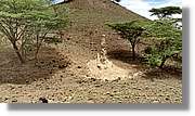 3-Turkana_062.jpg