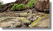 3-Turkana_073.jpg