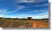 3-Turkana_080.jpg
