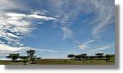 3-Turkana_081.jpg
