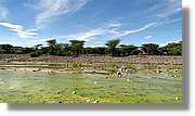 3-Turkana_084.jpg