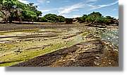 3-Turkana_085.jpg