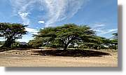 3-Turkana_089.jpg